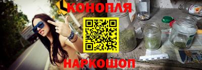 сатива Гатчина