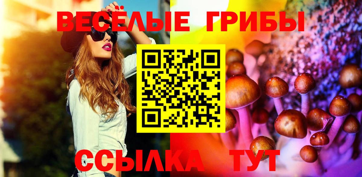 Гурьевск  Галлюциногенные грибы Magic Shrooms  Вход с VPN  Псилоцибиновые грибы Cubensis 