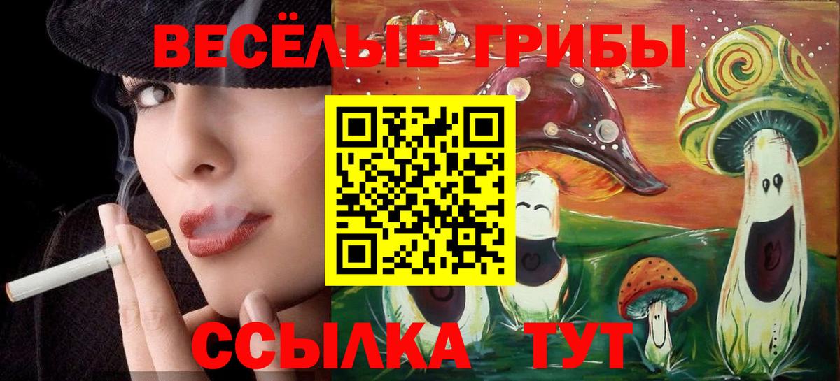 Галлюциногенные грибы GOLDEN TEACHER Гурьевск