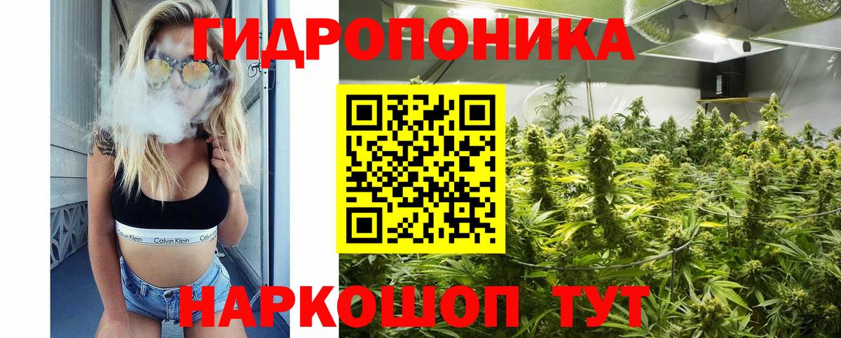 Гурьевск  МАРИХУАНА план  Вход с VPN  Марихуана SATIVA & INDICA  Каннабис LSD WEED  Каннабис MAZAR 